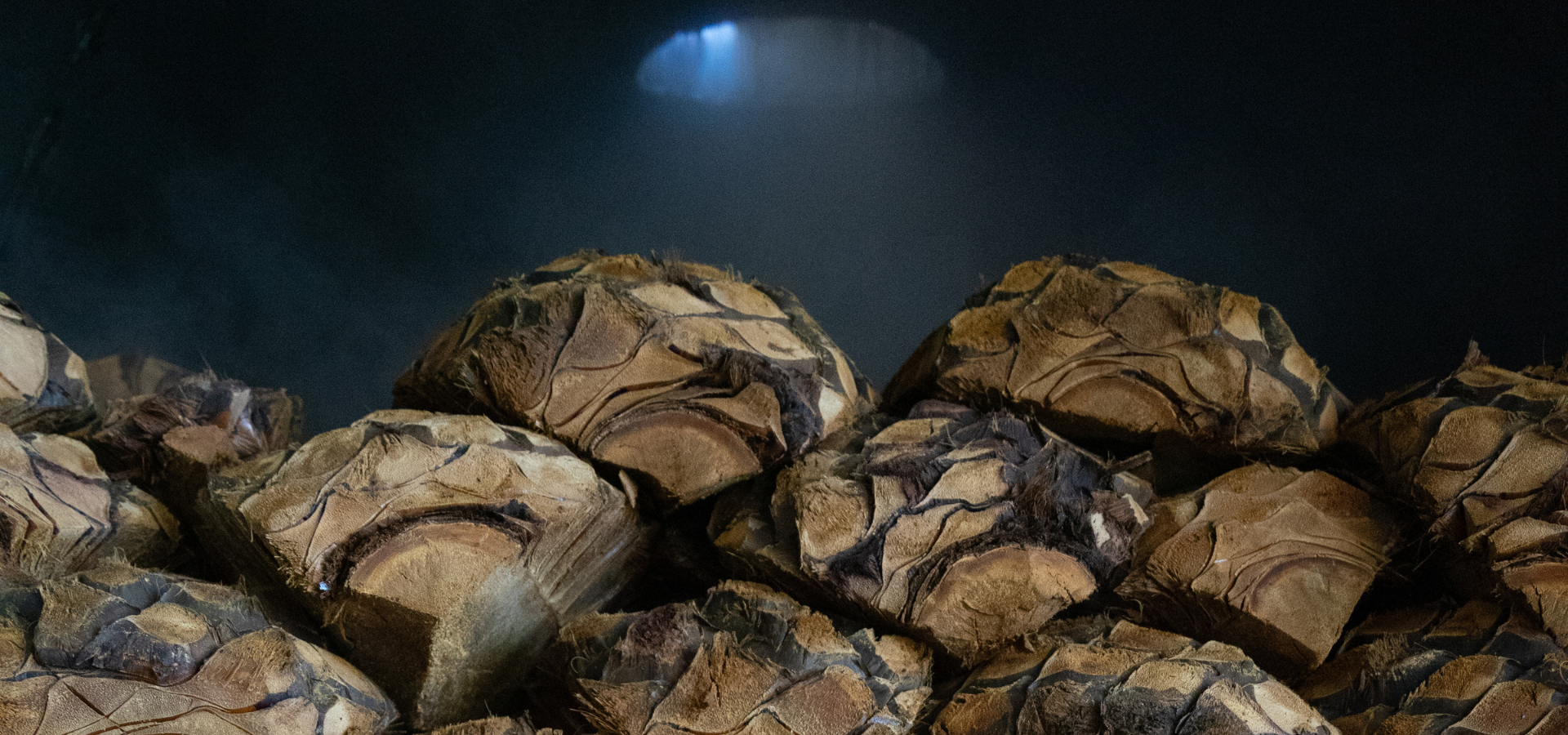 slider image slider_item_FiFPpj